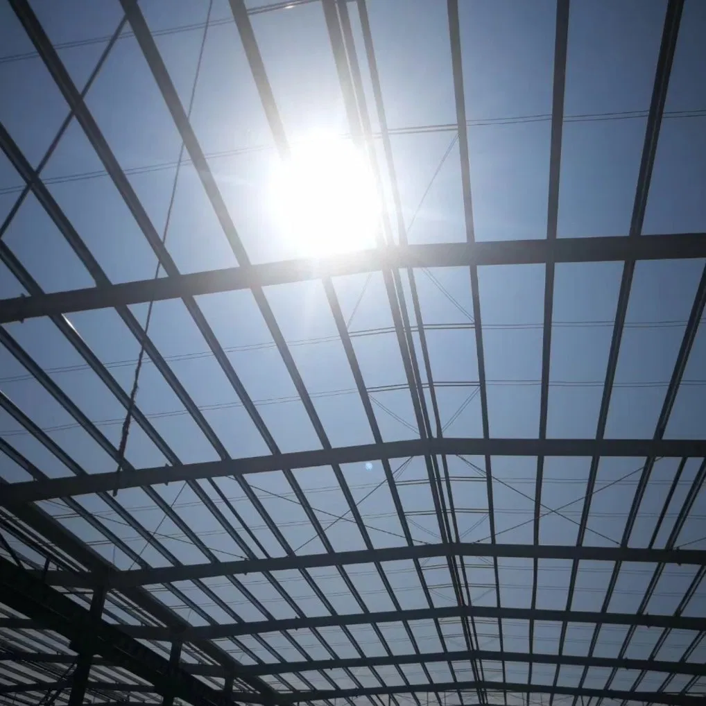 Custom Steel Structure Shed Fabrication Warehouse for Construction Building