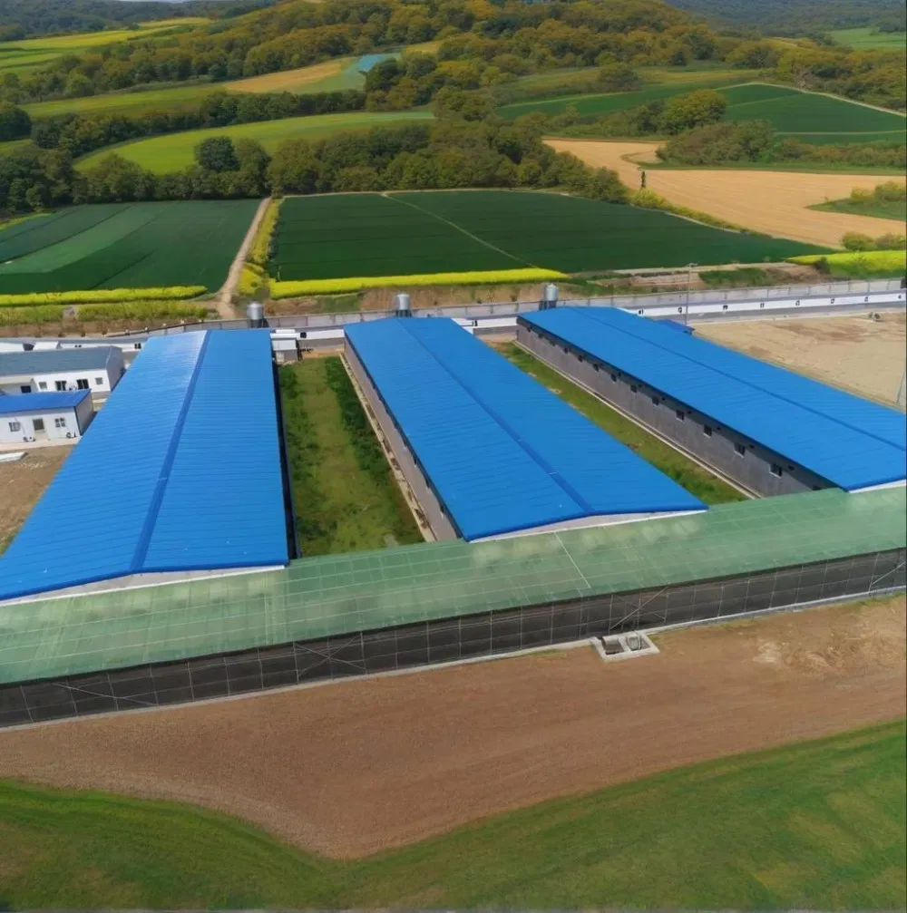 Fully Automated Poultry Prefab Steel Structure Long-Span Grid Customized Color Industrial Design Style Chicken Farming
