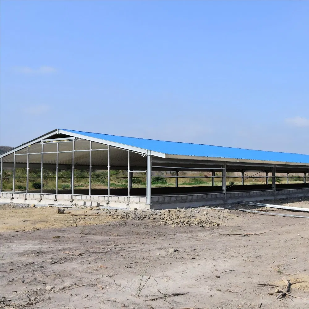 Poultry Prefab Houses Steel Structure Fully Automated Chicken Farming