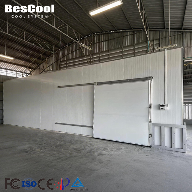 Large Scale Cold Storage Warehouse Cold Room With Refrigeration System One-Stop Solution For Fruit Vegetable Contractors