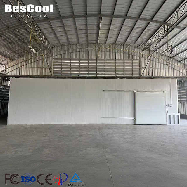 Large Scale Cold Storage Warehouse Cold Room With Refrigeration System One-Stop Solution For Fruit Vegetable Contractors
