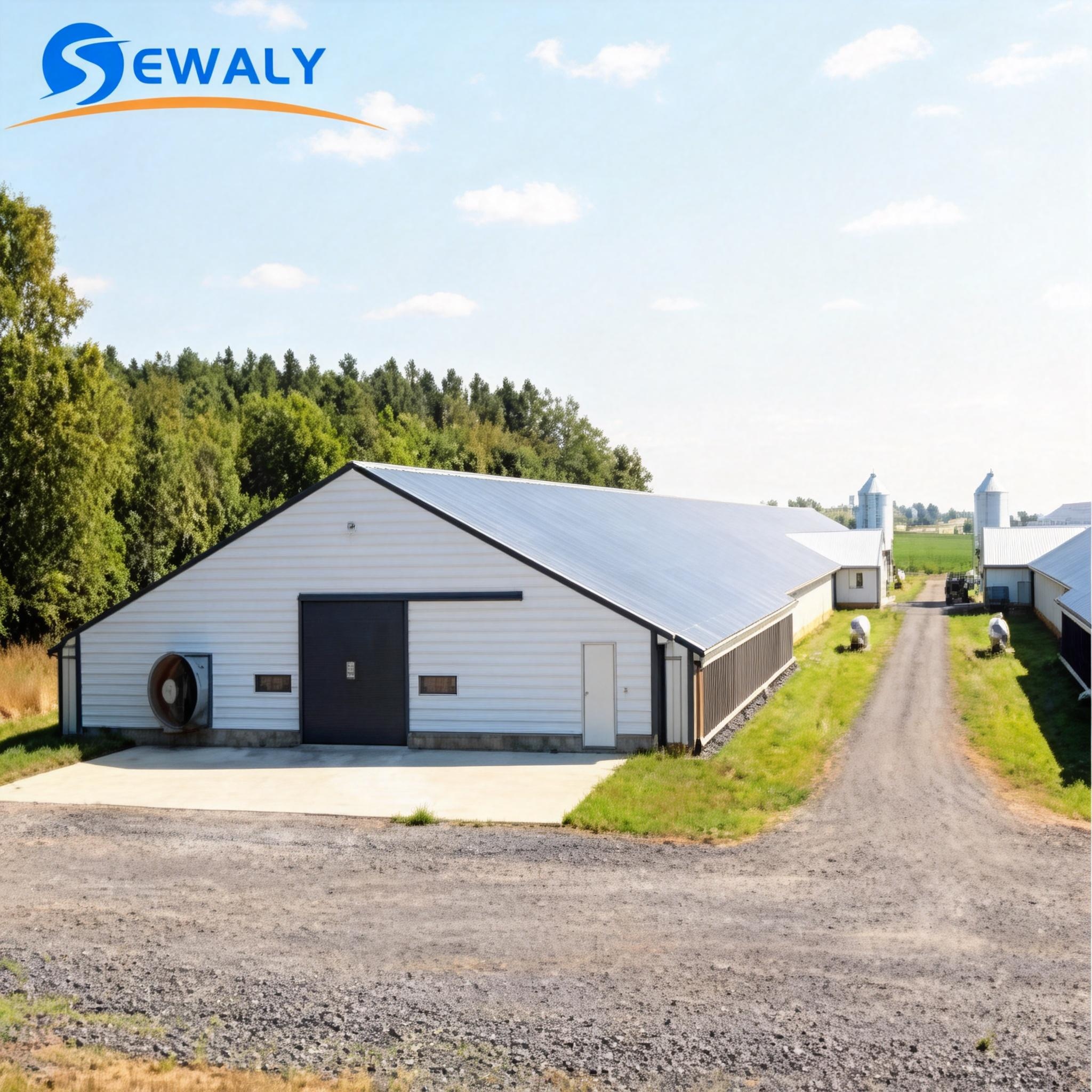 Sewaly Industrial Modern Low Cost Prefabricated Steel Structure Workshop Warehouse Poultry Shed Guangdong