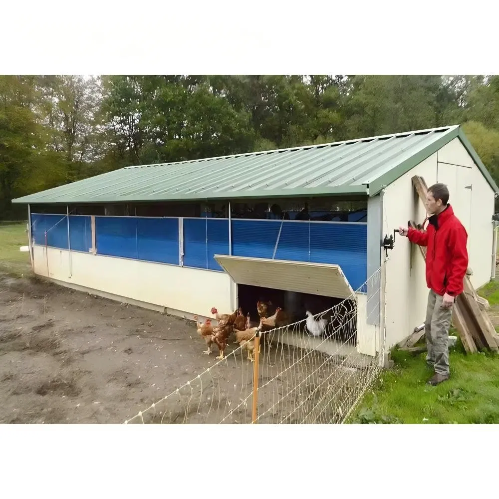 Fully Automated Poultry Prefab Steel Structure Long-Span Grid Customized Color Industrial Design Style Chicken Farming