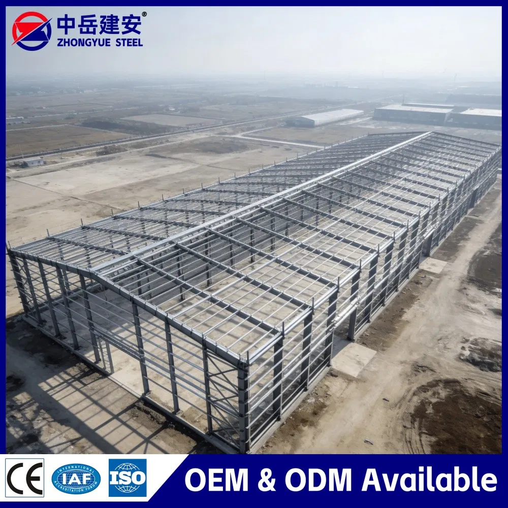 Multi-Span Prefabricated Steel Building for Industrial Warehouse with Crane
