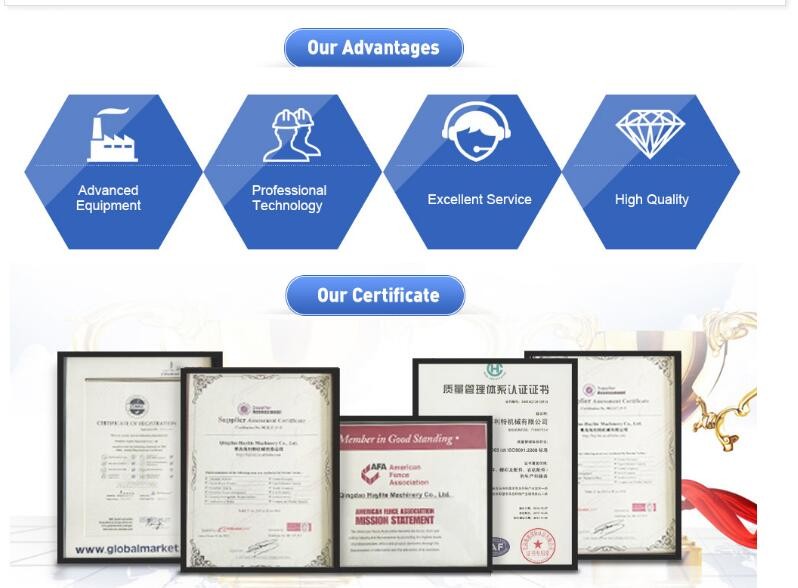 SGS Certification 2
