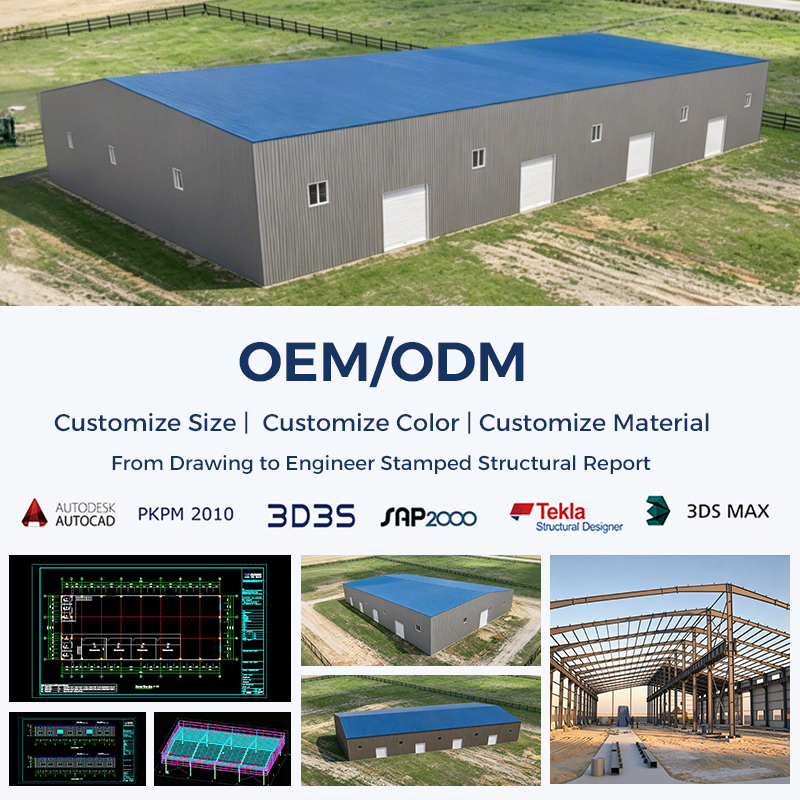 Professional Q355B Steel Structure Cold Storage Warehouse with Quick Install Solution for Workshop &amp; Garage Shed Applications