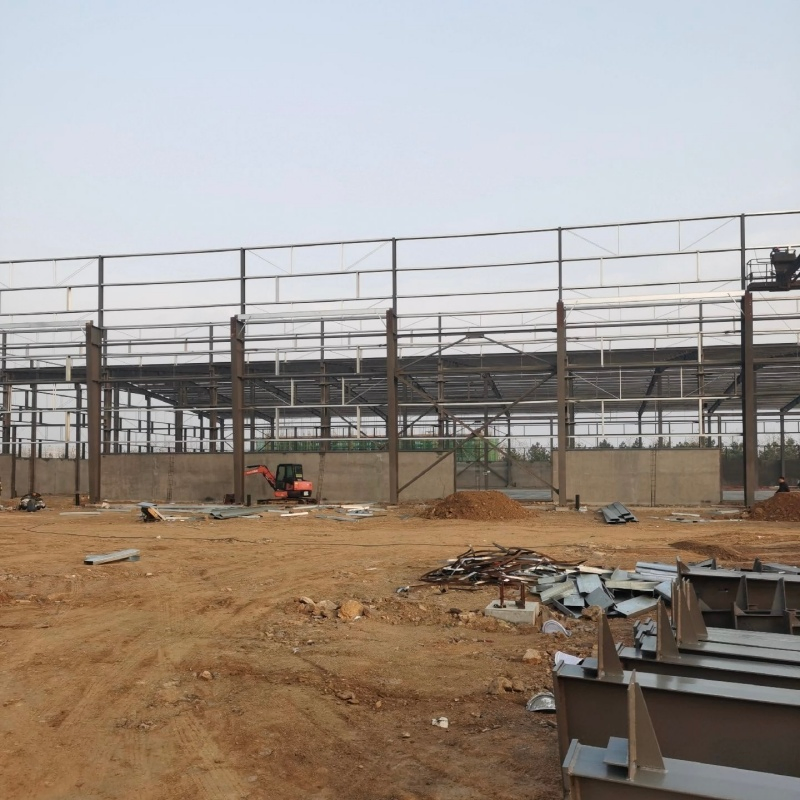 Commercial Rental Storage Steel Structure Storage Building for Business