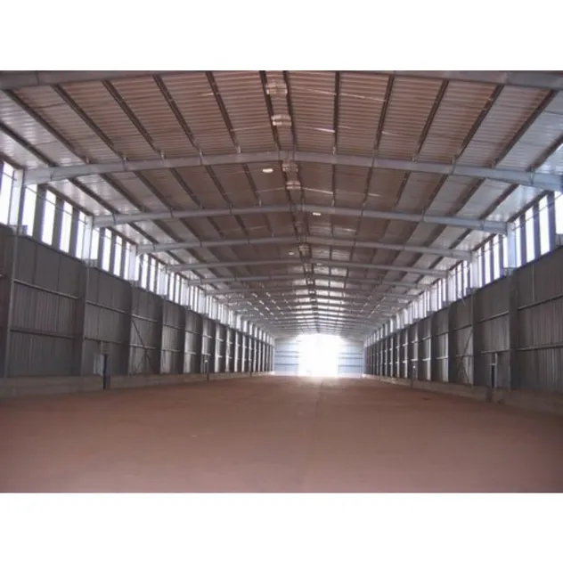 Versatile Steel Structure Buildings for Commercial Use and Storage