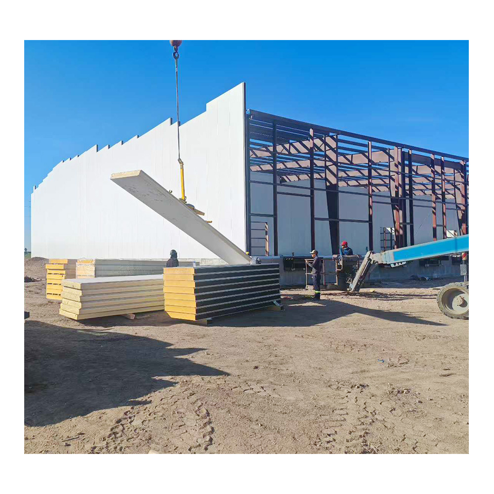 Walk in Freezer Cold Room Storage Large Warehousing Prefabricated Buildings for Steel Cold Storage