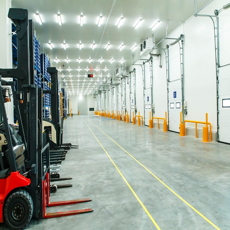 Seismic-Resistant Prefabricated Steel Structure Industrial Cold Storage Warehouse with Insulated Walls for Freezing and Chilling