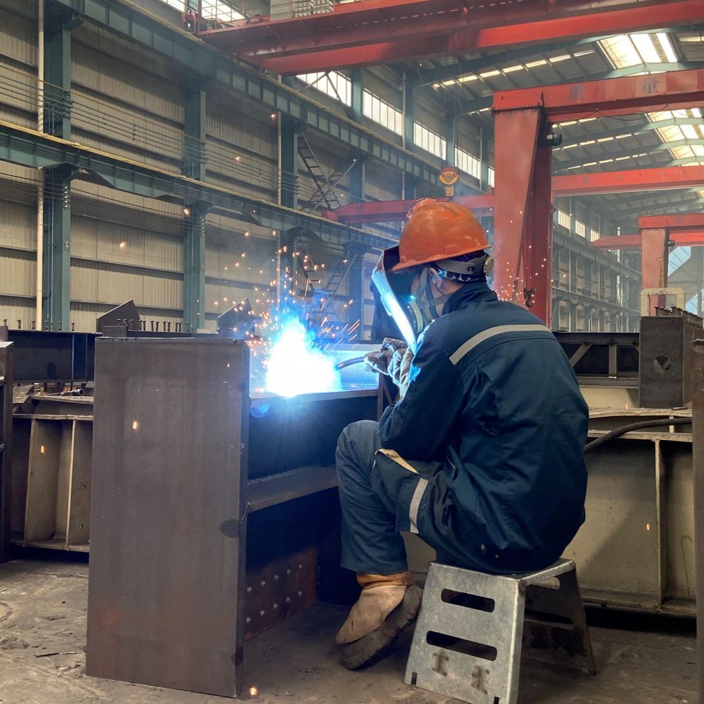 Custom Steel Structure Building for Logistics and Distribution Centers