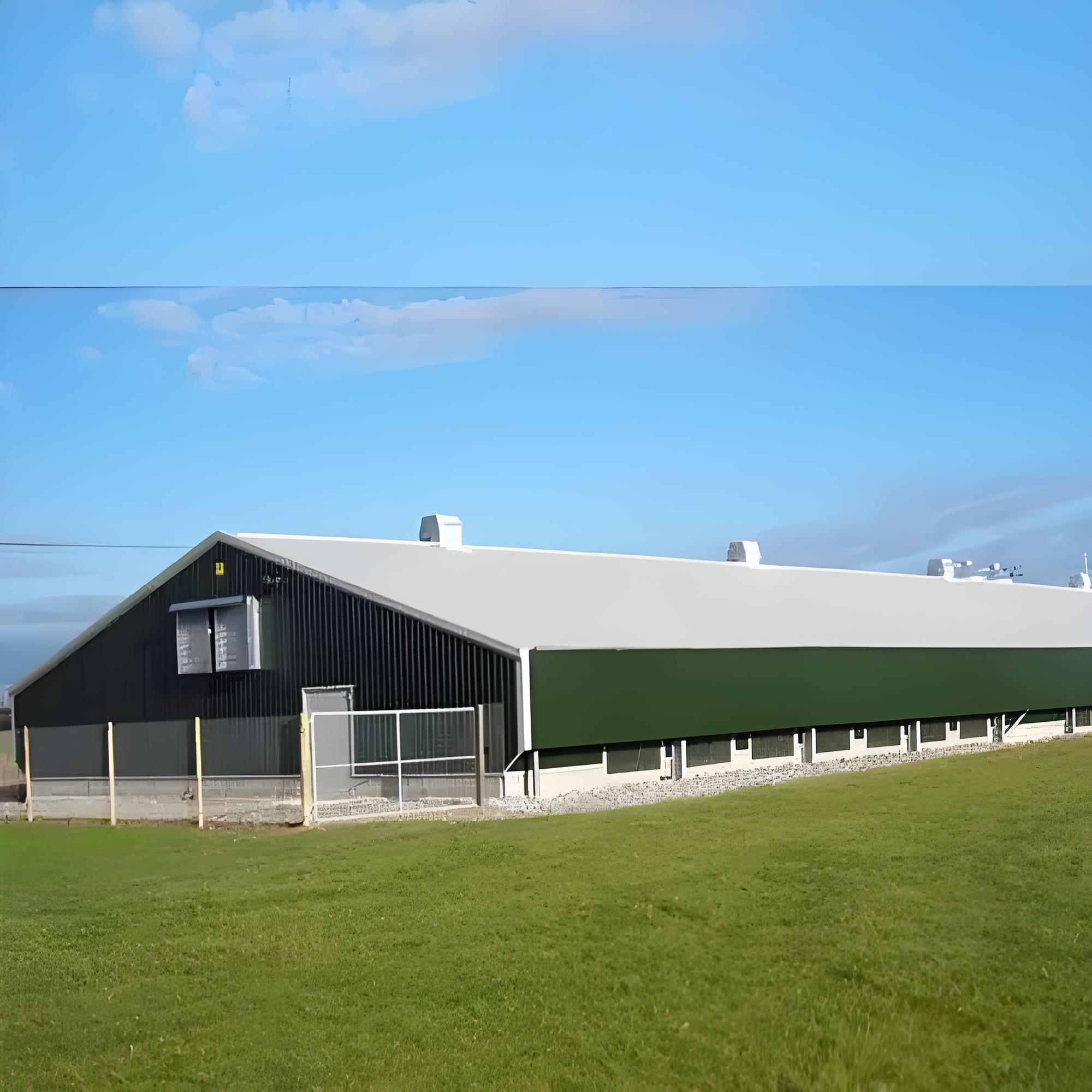 Poultry Housing Steel Structure Buildings for Poultry Farming
