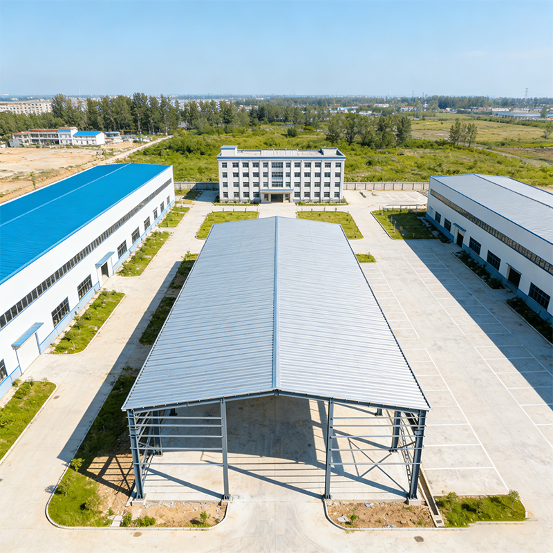 WANSHENG Wind/Seismic Resistant Modern Cold Storage Steel Warehouse Building Insulated Fireproof Prefabricated Steel Structure