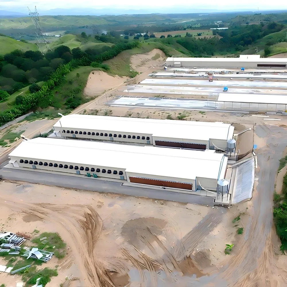 Poultry Prefab Houses Steel Structure Fully Automated Chicken Farming