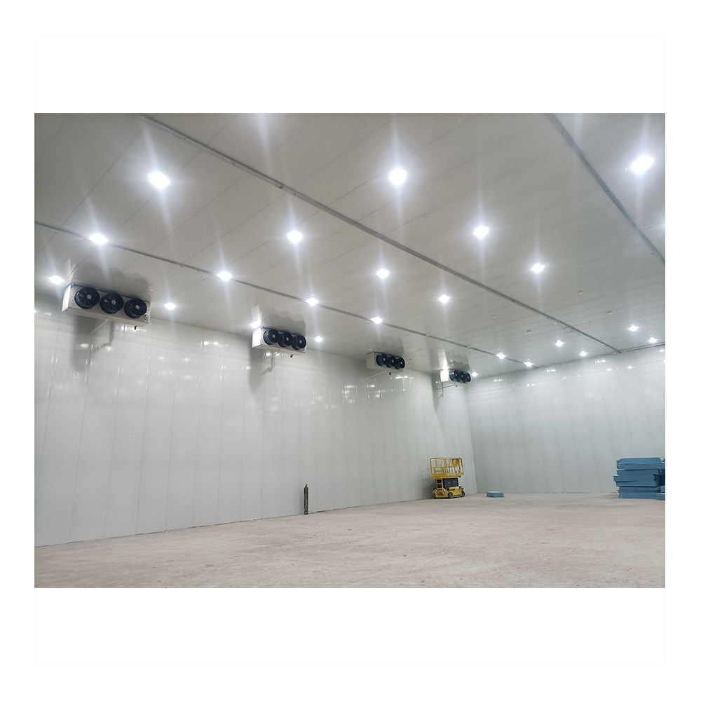 Walk in Freezer Cold Room Storage Large Warehousing Prefabricated Buildings for Steel Cold Storage