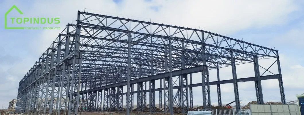 Heavy Steel Structure Building