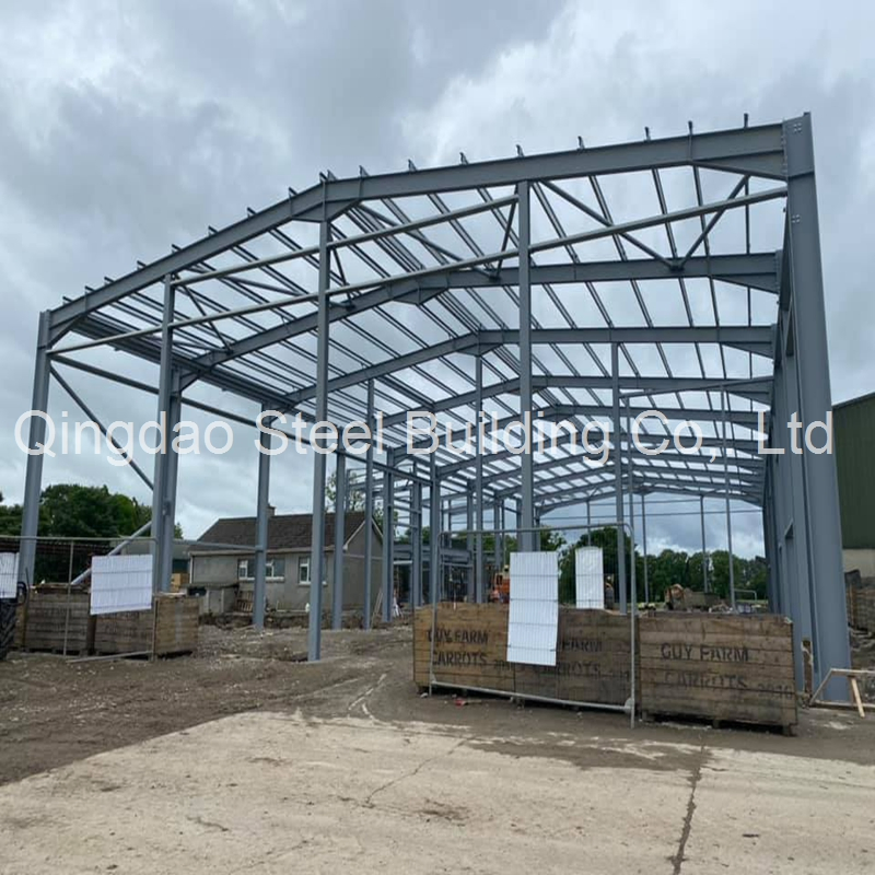 Customized Prefabricated Steel Structure Building for Commercial Warehouse Industrial Workshop Storage Shed
