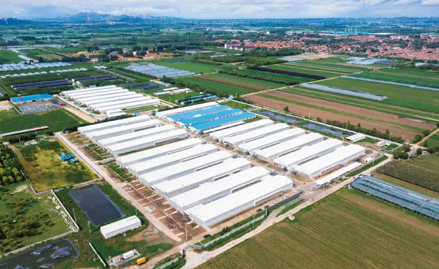Steel Structure Industrial Park Showcase 3