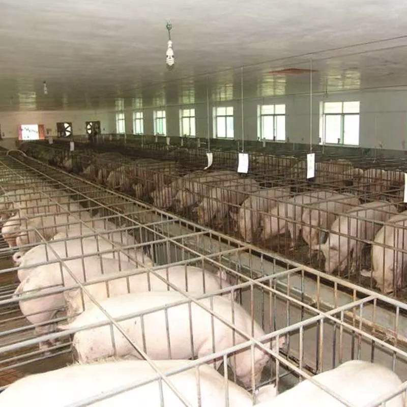 Modular Steel Frame Agricultural Farm Building