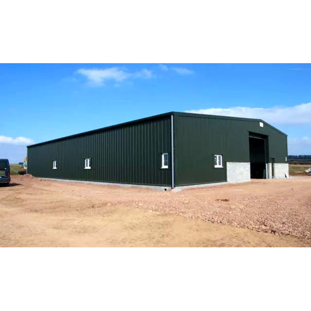 Customized Long Span Prefabricated Insulated Light Gauge Steel Industrial Building Metal Roof Frame Storage Shed Warehouse