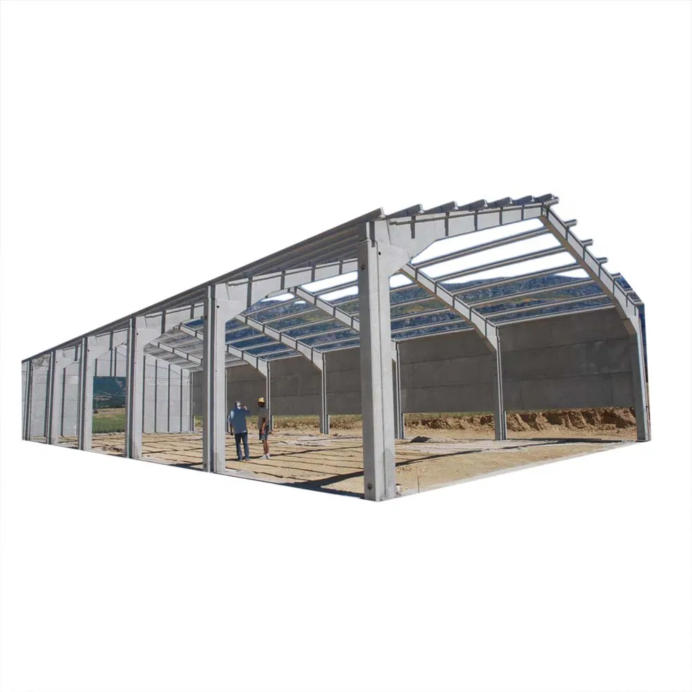 Modern Style Steel Structure Commercial Metal Buildings Clean Span Multi Span Warehouse Metal Buildings for Sale