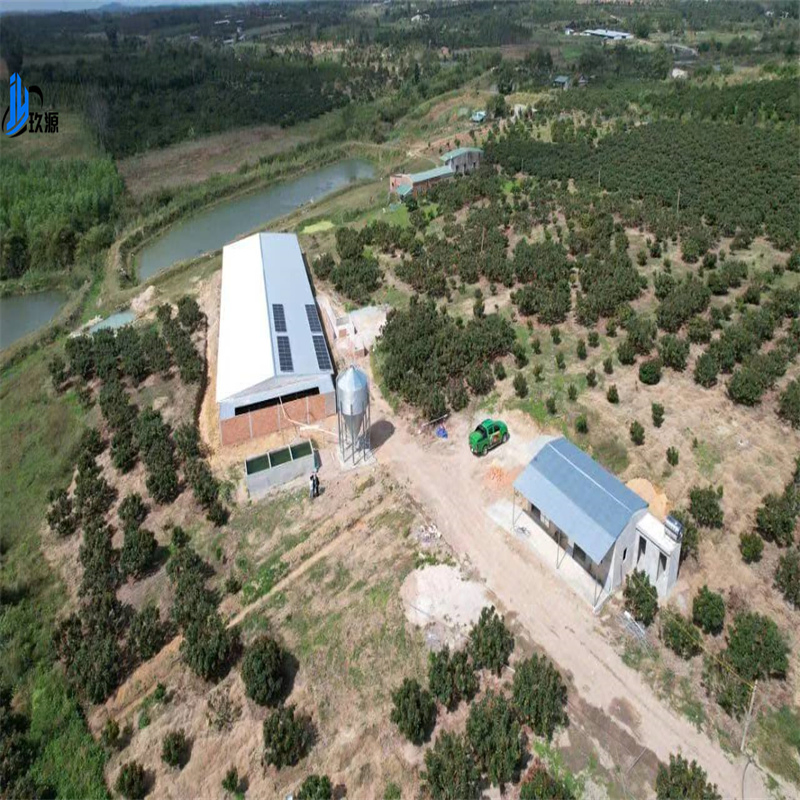 Customized Lightweight Steel Structure Building Materials, Modern Chicken Coop Warehouse, Farm Facilities