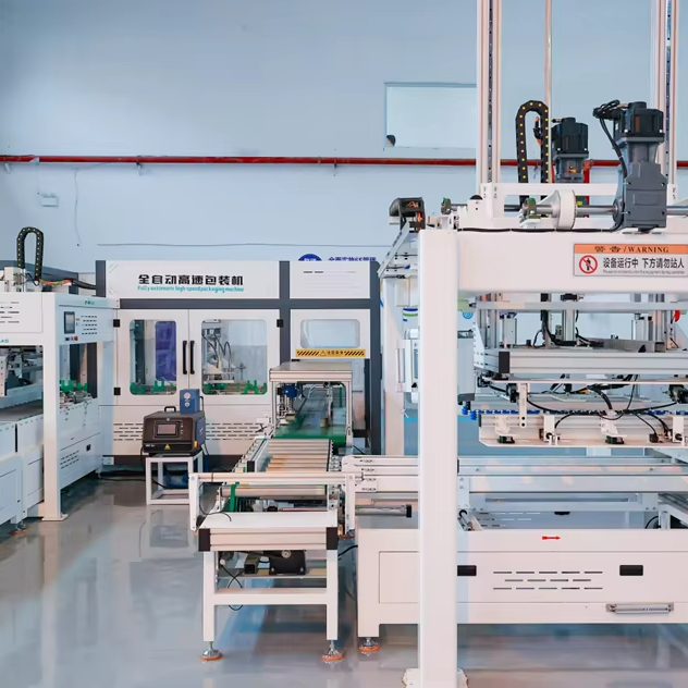 480-600 Box/h Carton Palletizing Machine 28kw Full Function Packaging Equipment 4-6 Layers Stacking Long Service Life Low Noise