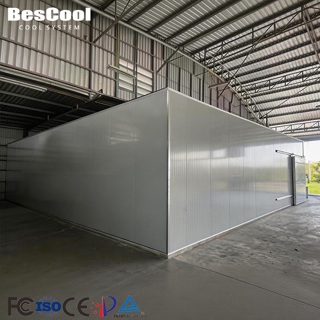 Large Scale Cold Storage Warehouse Cold Room With Refrigeration System One-Stop Solution For Fruit Vegetable Contractors