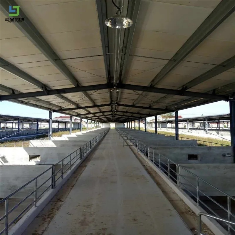 Custom H-Type Prefab House Fast Build Prefabricated Steel Structure Warehouse for Construction Building