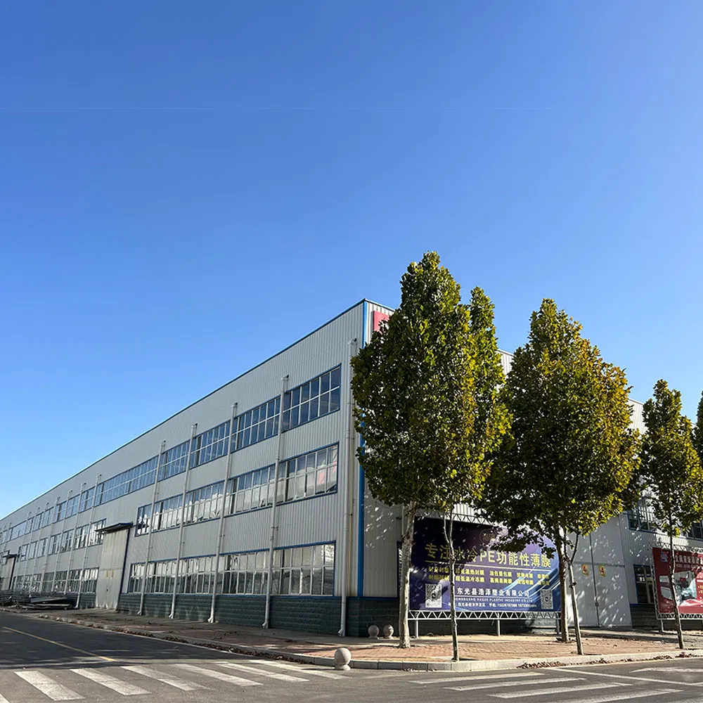 Custom Prefab Metal Frame Structure Warehouse Building