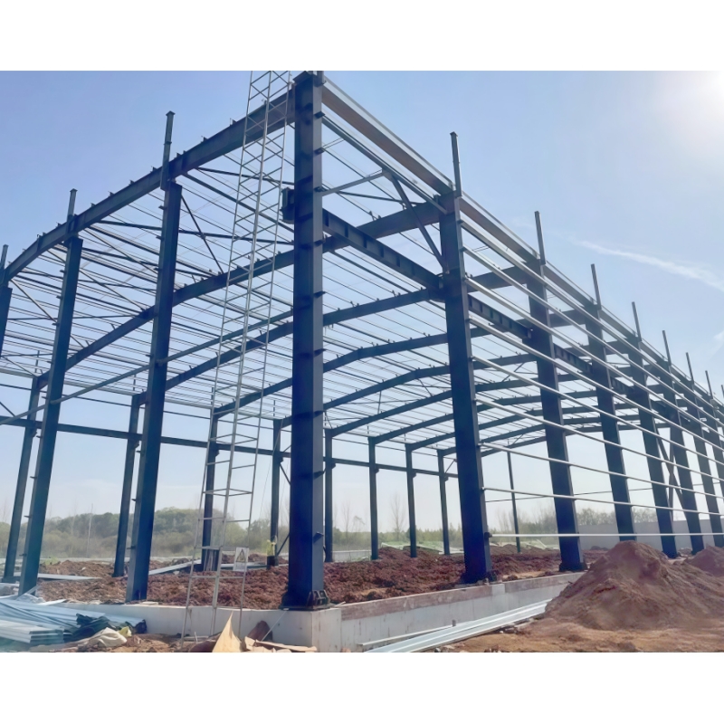 Prefab Factory Customize Design Industrial Storage Sheds Building Warehouse Steel Structure Workshop