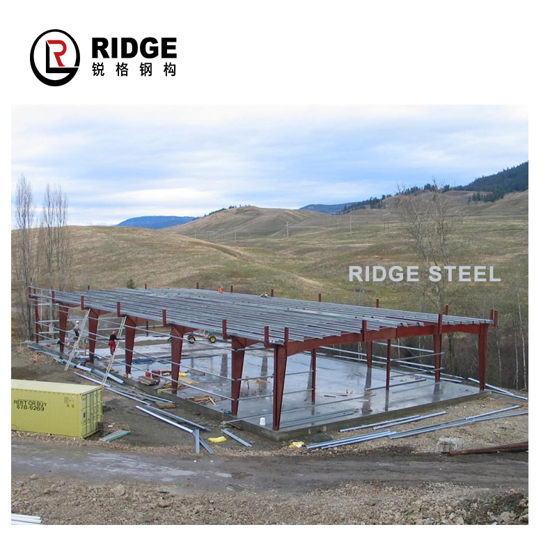 Customized Design Bolt Connection Type Steel Structures for Prefabricated/Prefab Shed