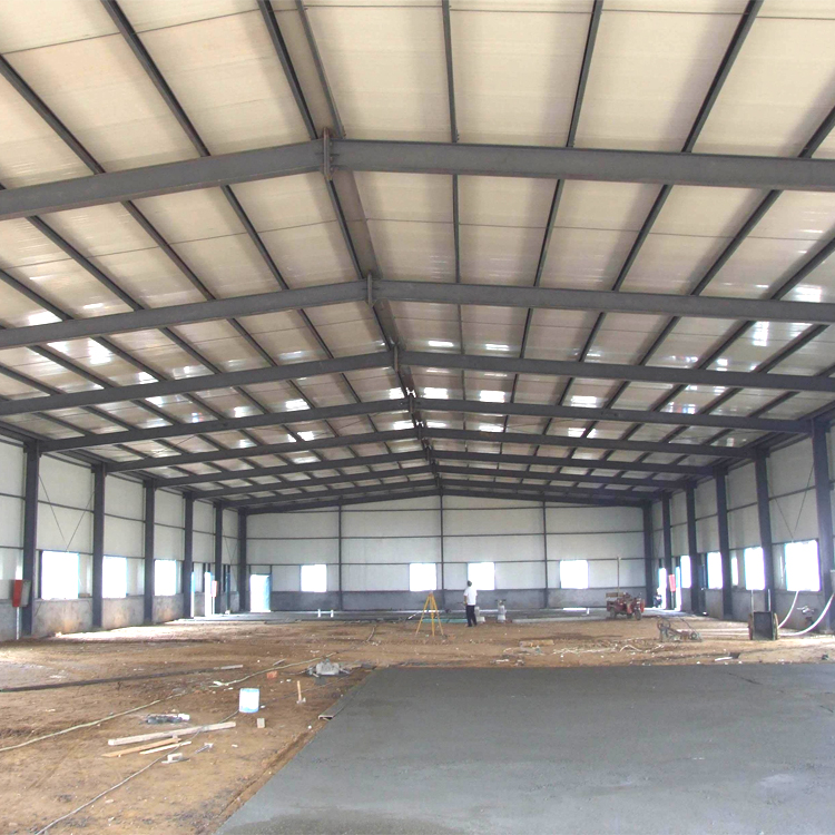Cost-Effective Building Material Metal Panel Insulated Steel Structure Cold Storage Warehouse
