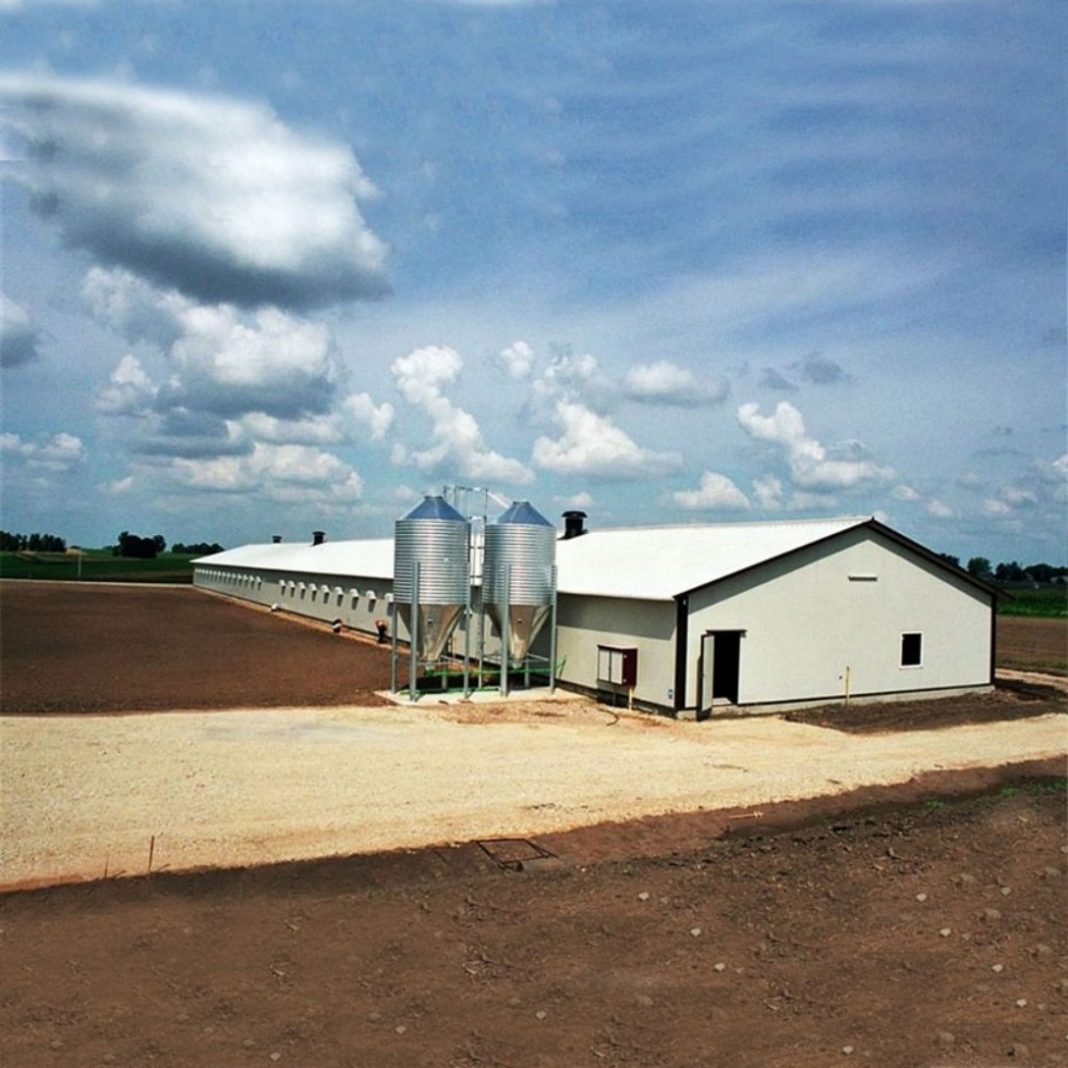 Modern Fully-Automated Poultry Farm Chicken House Lightweight Steel Structure H-Shape Steel Beams