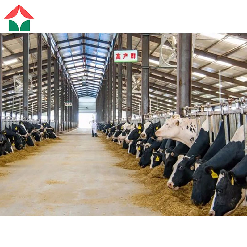 Metal Building Materials Kits Prefab Warehouse Shelter Structures Equipement Prefabricated Sheds Storage Outdoor Cow Farm