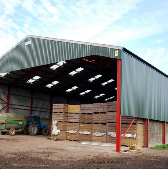 China Prefabricated Steel Structure Construction House Carport Dog Kennel Farm Warehouse Insulated Hay Barn Storage Farm Urban