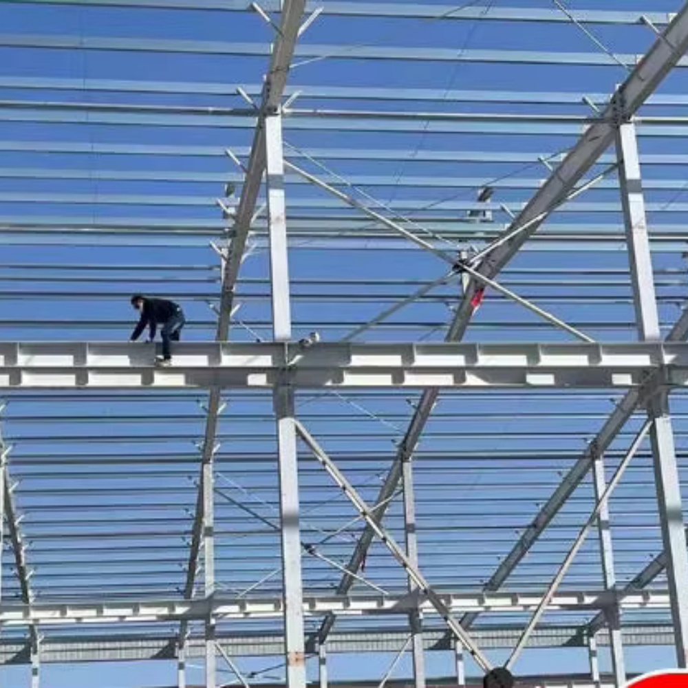 Economical Prefabricated Steel Warehouse Construction for Farm Storage and Agricultural Business Applications