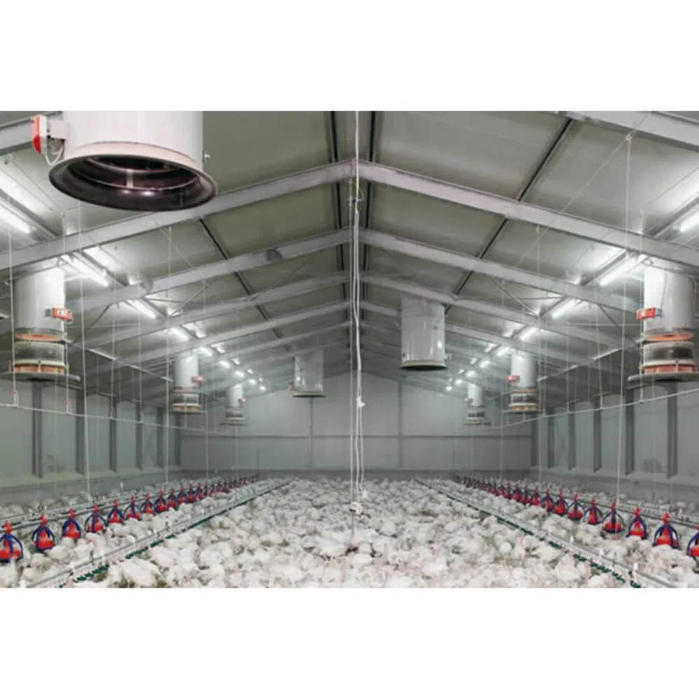 Fully Automated Poultry Prefab Steel Structure Long-Span Grid Customized Color Industrial Design Style Chicken Farming