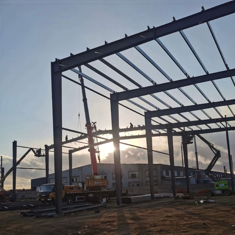 Commercial Rental Storage Steel Structure Storage Building for Business