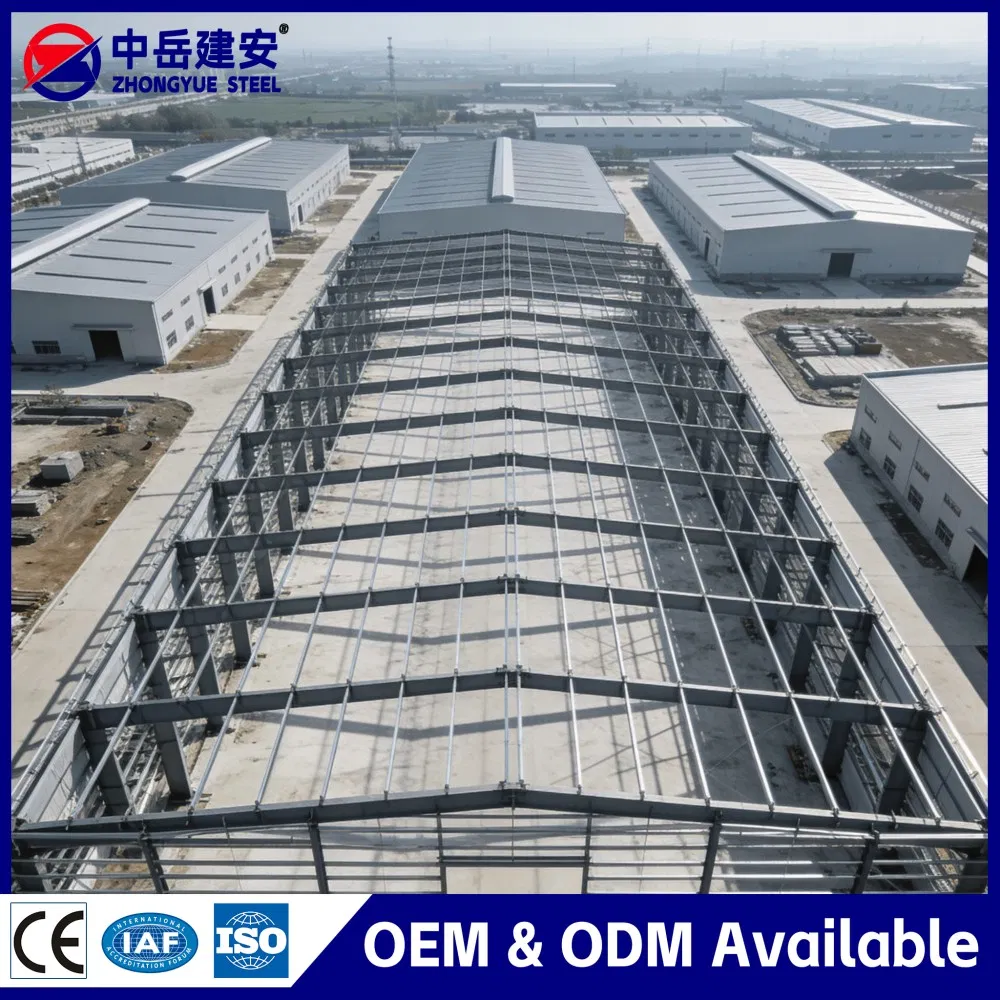 Multi-Span Prefabricated Steel Building for Industrial Warehouse with Crane