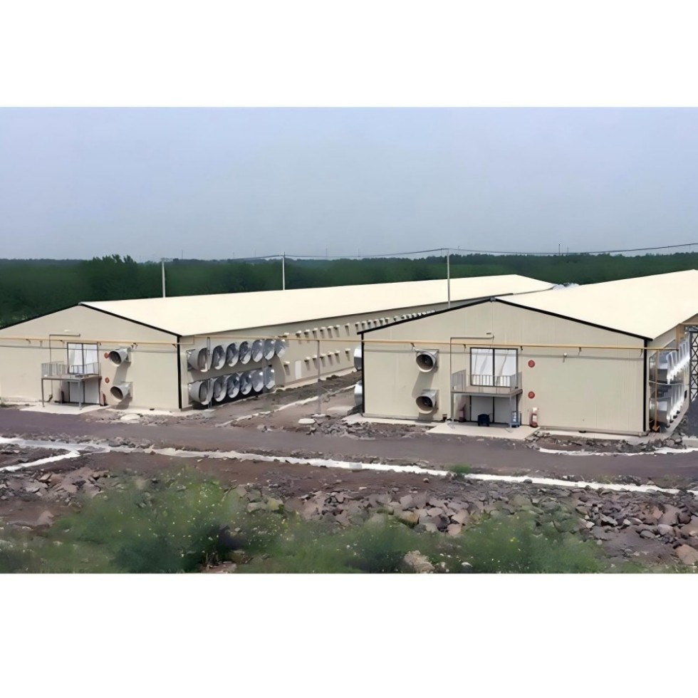 Modern Fully-Automated Poultry Farm Chicken House Lightweight Steel Structure H-Shape Steel Beams