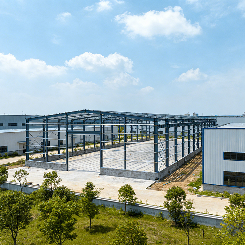 Insulated Cold Storage Steel Structure Warehouse with Sandwich Panel for Cold Chain and Food Storage