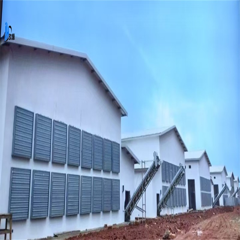 Industrial Chicken Coop Steel Structure Warehouse Building Materials, Broiler Chickens, Egg-Laying Chickens, Poultry Farms