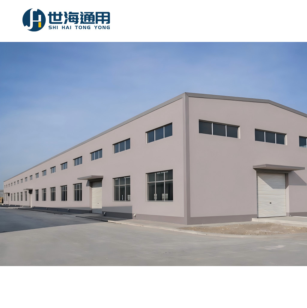 Multi-functional Steel Structure Agricultural Shed Storage Warehouse
