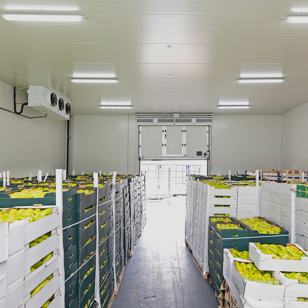 Customized Large Scale Cold Storage Room PU Insulation Modular Cold Storage Warehouse