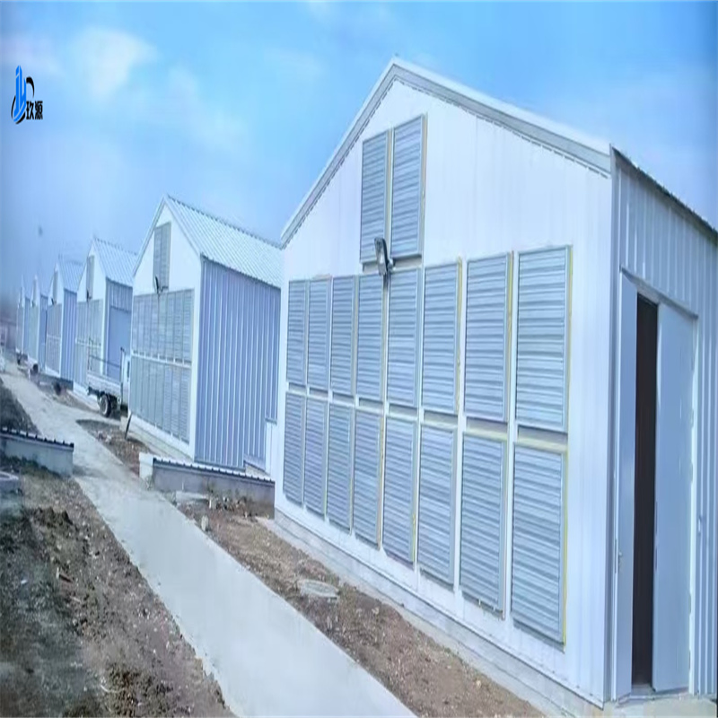 Industrial Chicken Coop Steel Structure Warehouse Building Materials, Broiler Chickens, Egg-Laying Chickens, Poultry Farms