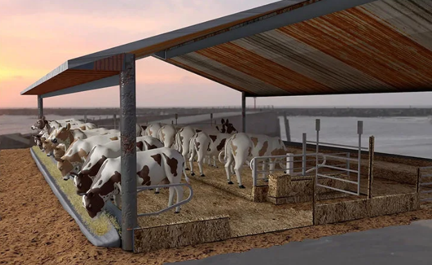 Cow Farm