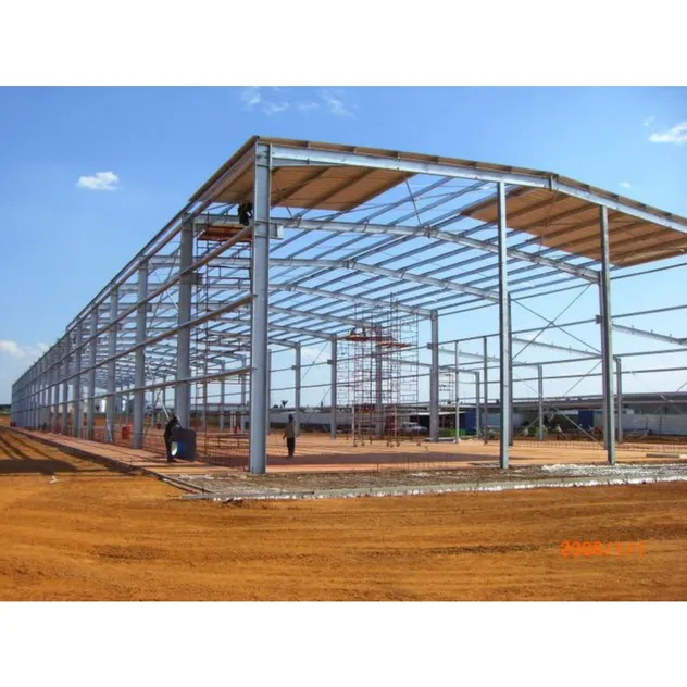 Versatile Steel Structure Buildings for Commercial Use and Storage