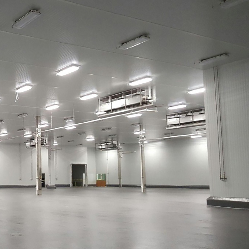 Customized Large Scale Cold Storage Room PU Insulation Modular Cold Storage Warehouse