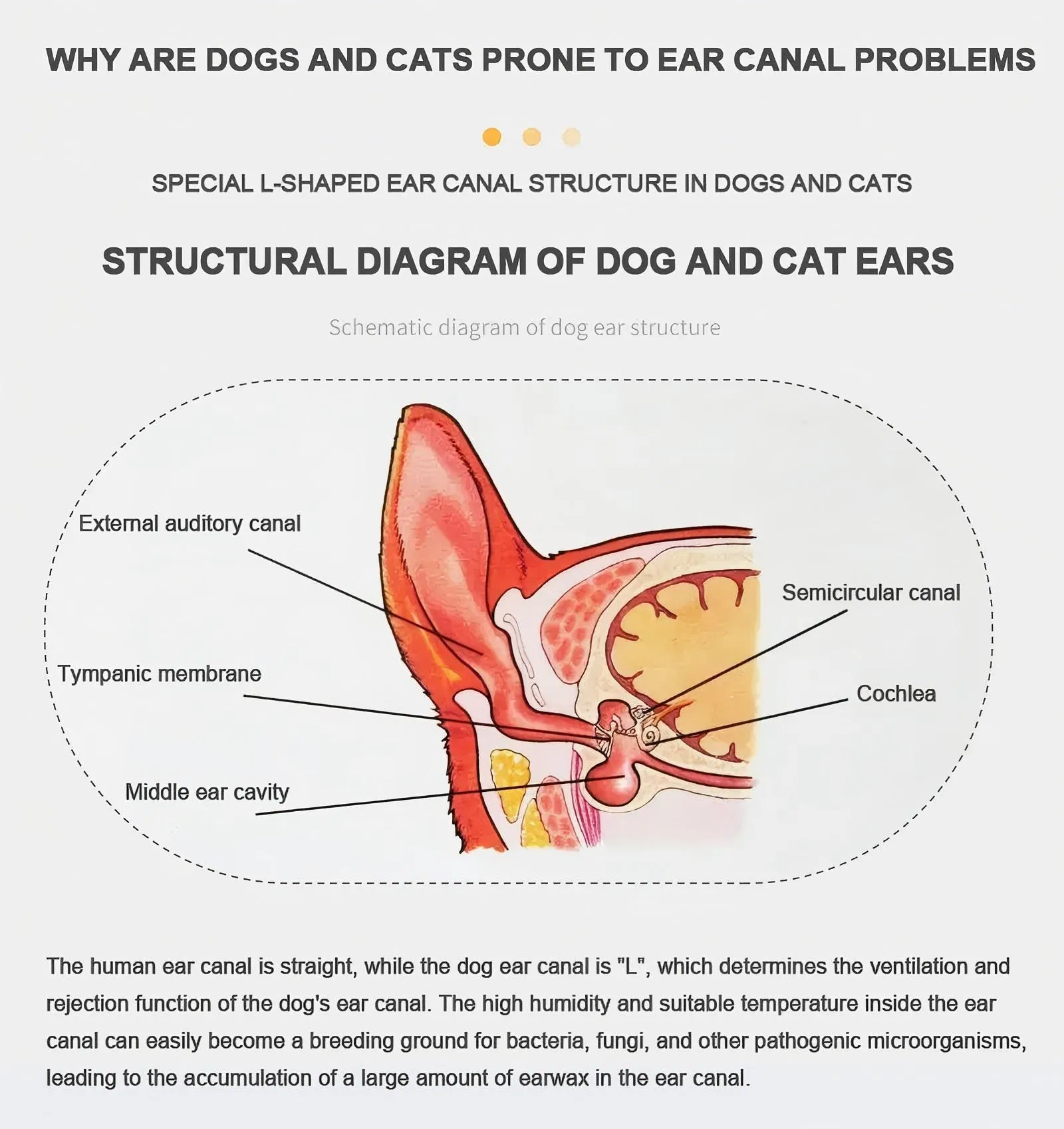 Dual Action Ear Cleaner for Pets Ear Cleaner